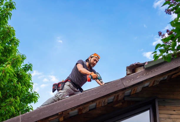 Best Chimney Flashing Repair  in Branchville, SC
